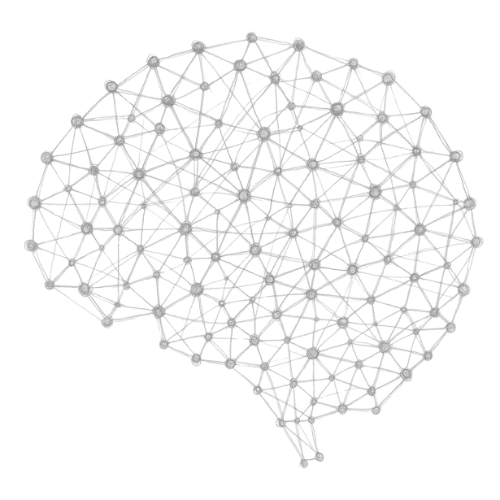 Neural Network Brain